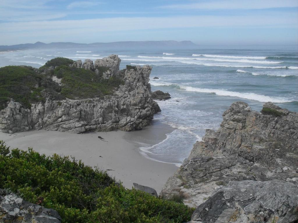 Bamboo Guest House Hermanus Exterior photo